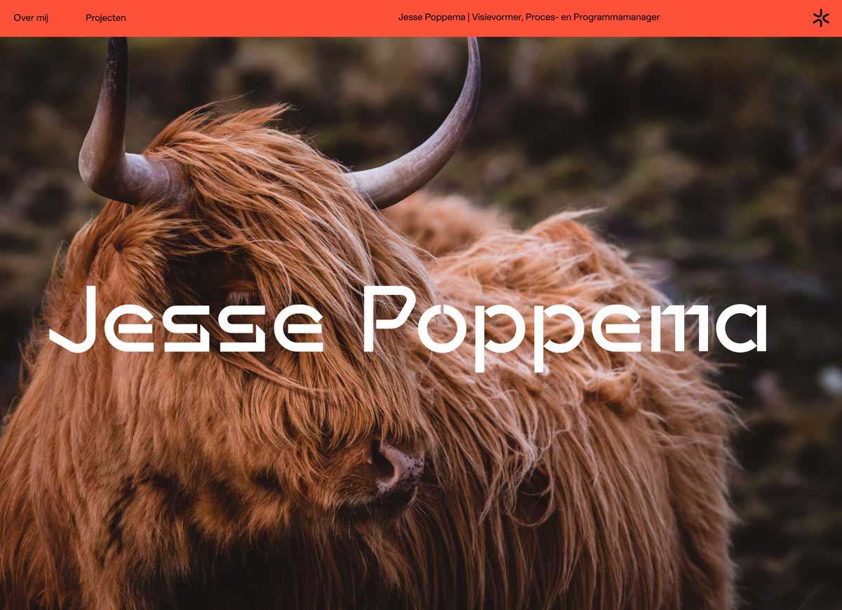 Website Jesse Poppema - home 1