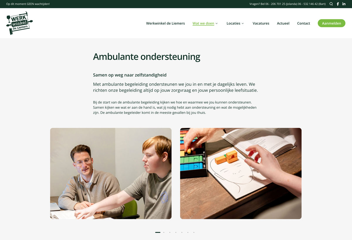 Webdesign en development website Werkwinkel de Liemers